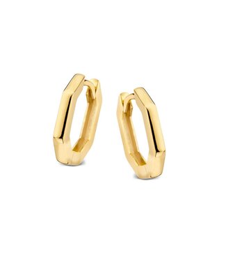 Excellent Earrings