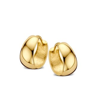 Excellent Earrings