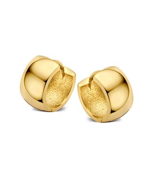 Excellent Excellent Earrings