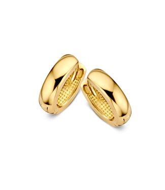 Excellent Earrings