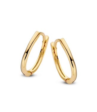 Excellent Earrings