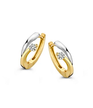 Excellent Earrings two-tone zirconia