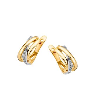 Excellent Earrings two-tone