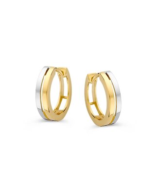 Excellent Earrings two-tone