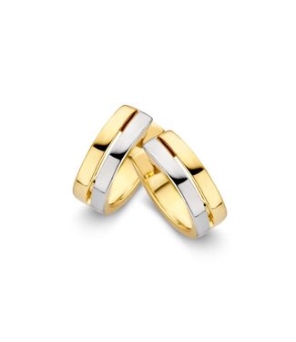 Excellent Excellent Oorringen bicolor OB405112