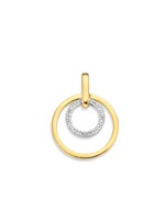Excellent Hanger bicolor zirkonia HH426179