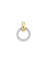 Excellent Hanger bicolor zirkonia HH425866
