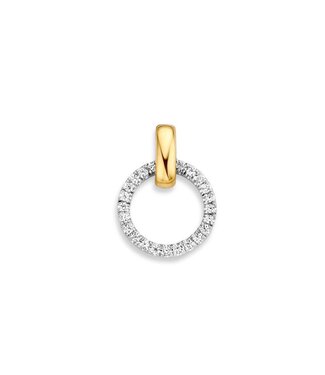 Excellent Pendant two-tone zirconia