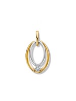 Excellent Hanger bicolor zirkonia HB427554