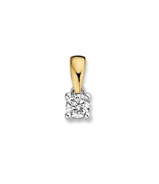 Pendant two-tone