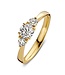 Ring Alix 0.75 crt geel goud