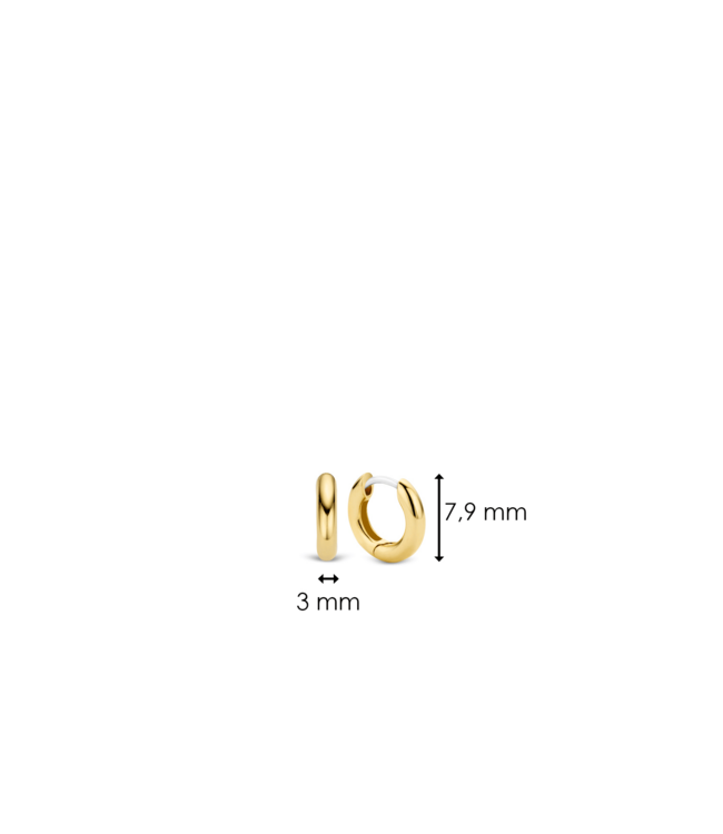 TI SENTO Small Hoops - 7210YS - Silver plated, Silver gold-coloured
