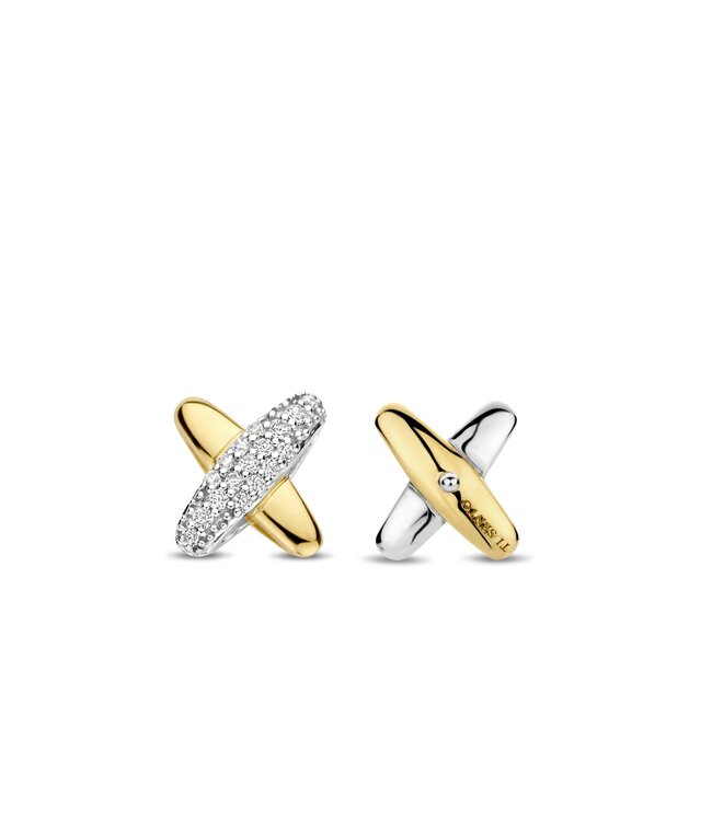 Oorbellen 7982ZY