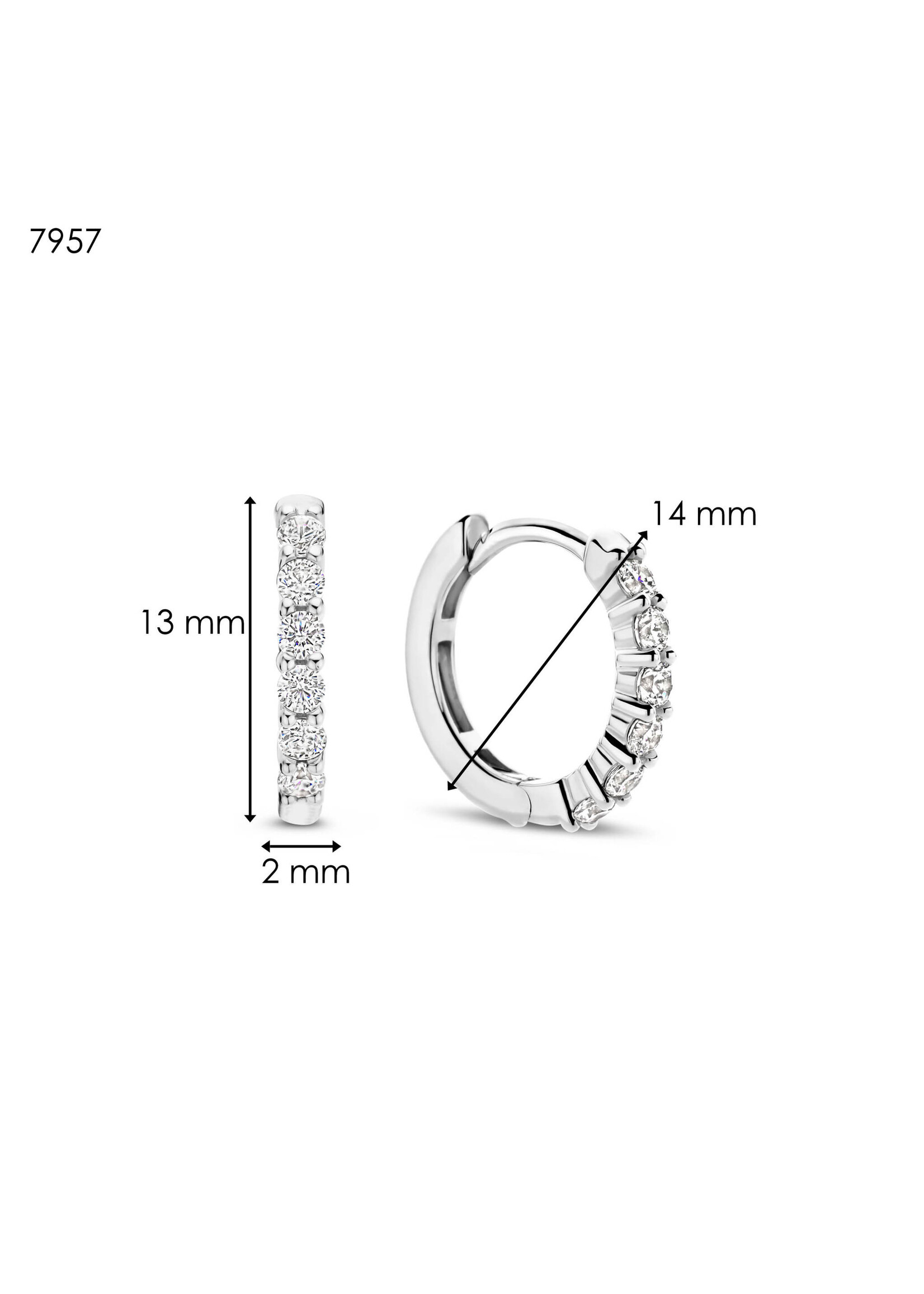 Ti Sento TI SENTO Kleine oorringen - 7957ZI - Zilver platina verguld, Zirconia wit