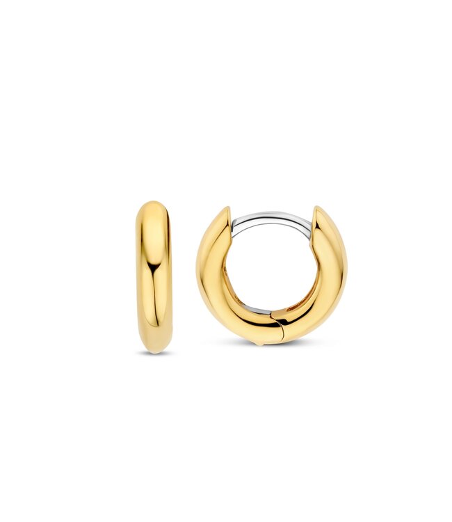 TI SENTO - Milano Oorbellen 7954YS