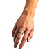Ring Ben XS Slang Zilver