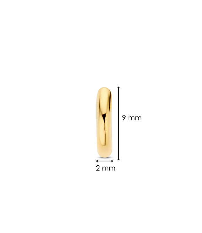 TI SENTO - Milano Oorbellen 7954YS