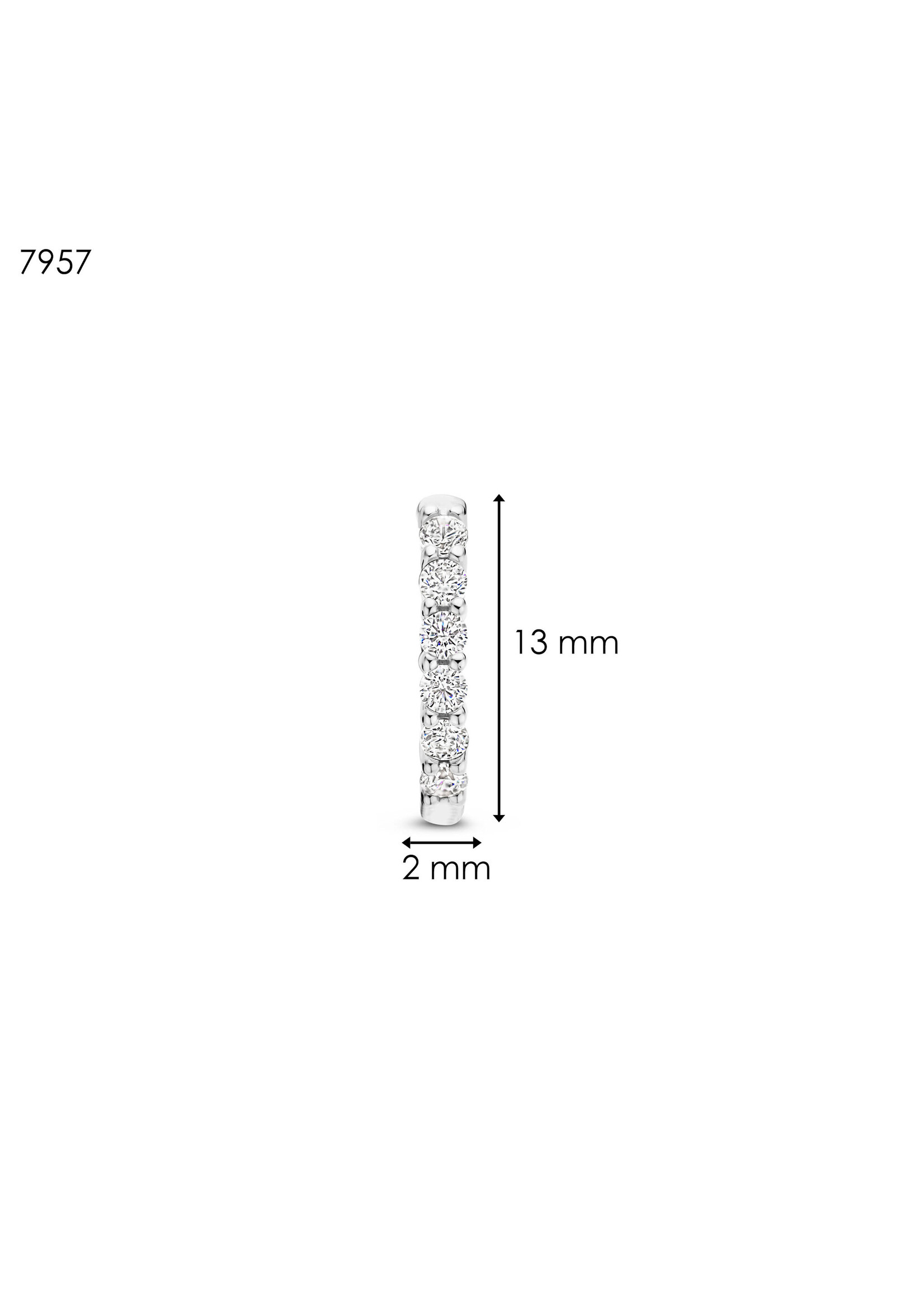 Ti Sento TI SENTO Kleine oorringen - 7957ZI - Zilver platina verguld, Zirconia wit
