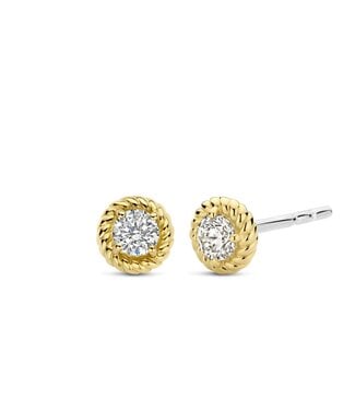 Oorbellen 7934ZY