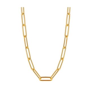 Collier 3937SY Zilver Verguld Schakel