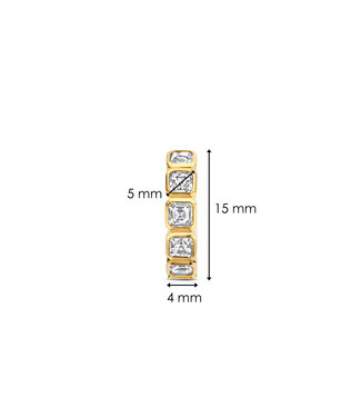 Oorbellen 7965ZY