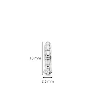Oorbellen 7961SI