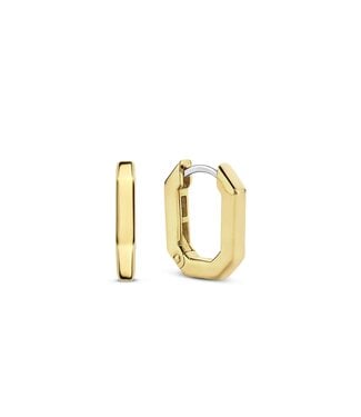 Oorbellen 7929SY