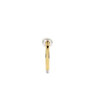Ring 12290YP
