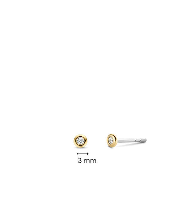 TI SENTO - Milano Oorbellen 7867ZY