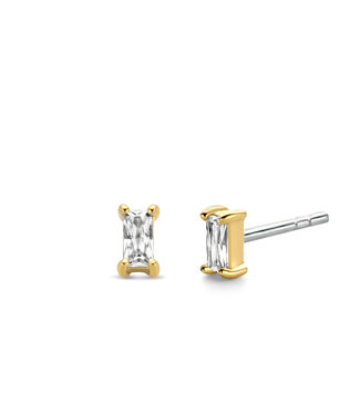 Oorbellen 7865ZY