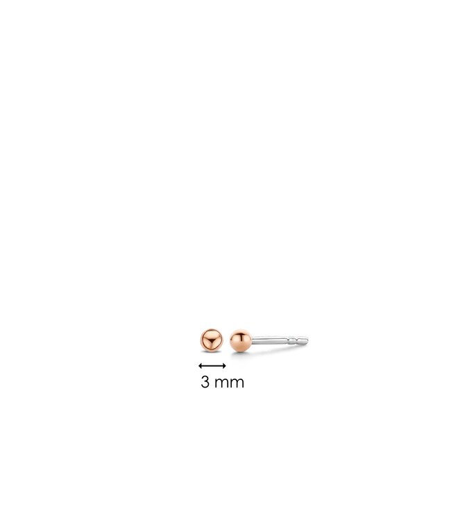 TI SENTO Oorbellen 7841SR