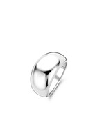 Ti Sento Ring 12171SI