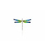 Arior Barcelona Hanger Dragonfly orange-green-blue enamel pendant
