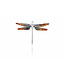 Arior Barcelona Hanger Dragonfly medium pendant
