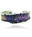 Arior Barcelona Sieraden Intenzza GoldSahara medium bracelet