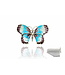 Arior Barcelona Broche Medium colorful butterfly brooch