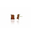 Arior Barcelona Intenzza Golden Black Small Earrings