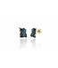 Arior Barcelona Intenzza Golden Black Small Earrings