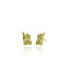Arior Barcelona Intenzza Golden Black Small Earrings
