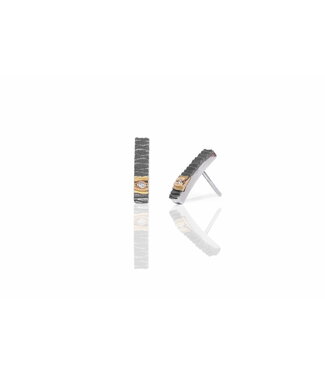 Arior Barcelona Arior Barcelona Kleine Ohrringe Delta, Silber und Gold
