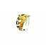 Arior Barcelona Sami Ring