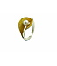 Arior Barcelona Eco Ring