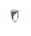 Arior Barcelona Eco Ring