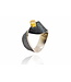 Arior Barcelona Moebius Big Ring