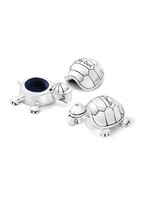 Zilverstad Turtle tooth and curl box
