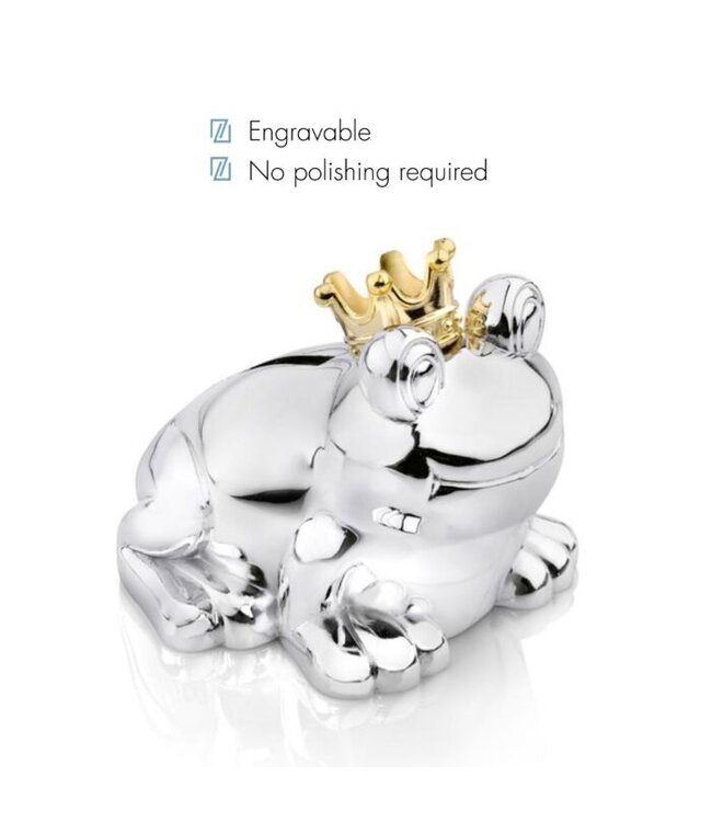 Zilverstad spaarpot Kikker