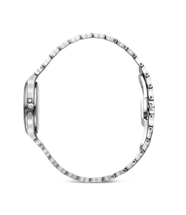 Danish Design DKx Pro Silver Husky Hazel S IV97Q1303