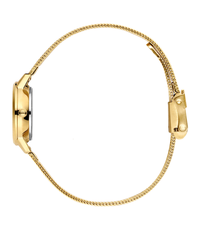 Danish Design IV04Q1268 Uhr Damen goldfarben 22mm