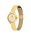 Tommy Hilfiger Demi TH1782811 Dameshorloge Staal Goudkleurig 26mm