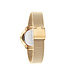 Tommy Hilfiger TH1782699 Horloge Dames Goudkleurig 33mm